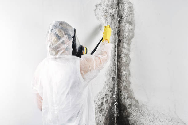  Nth Plains, OR Water damage restoration Pros